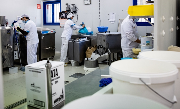Elaboramos todo el Año Elaboramos todo el Año